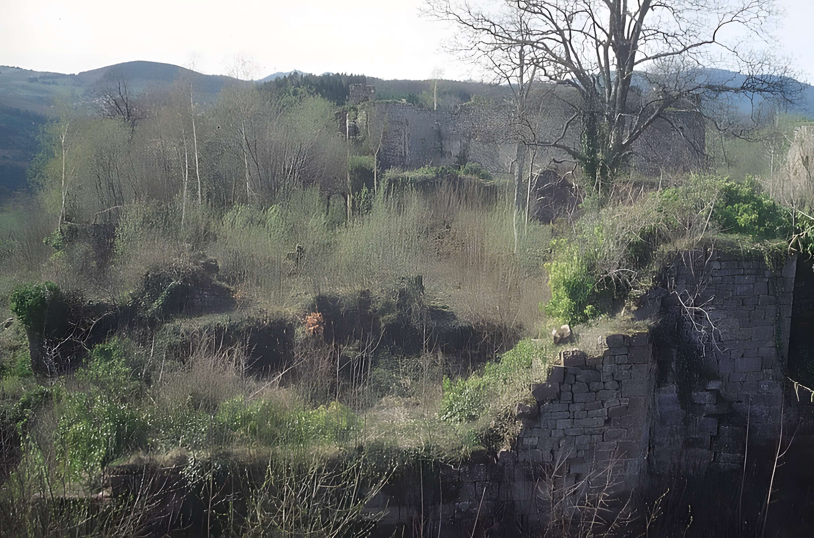 Ruines du château Guirbaden