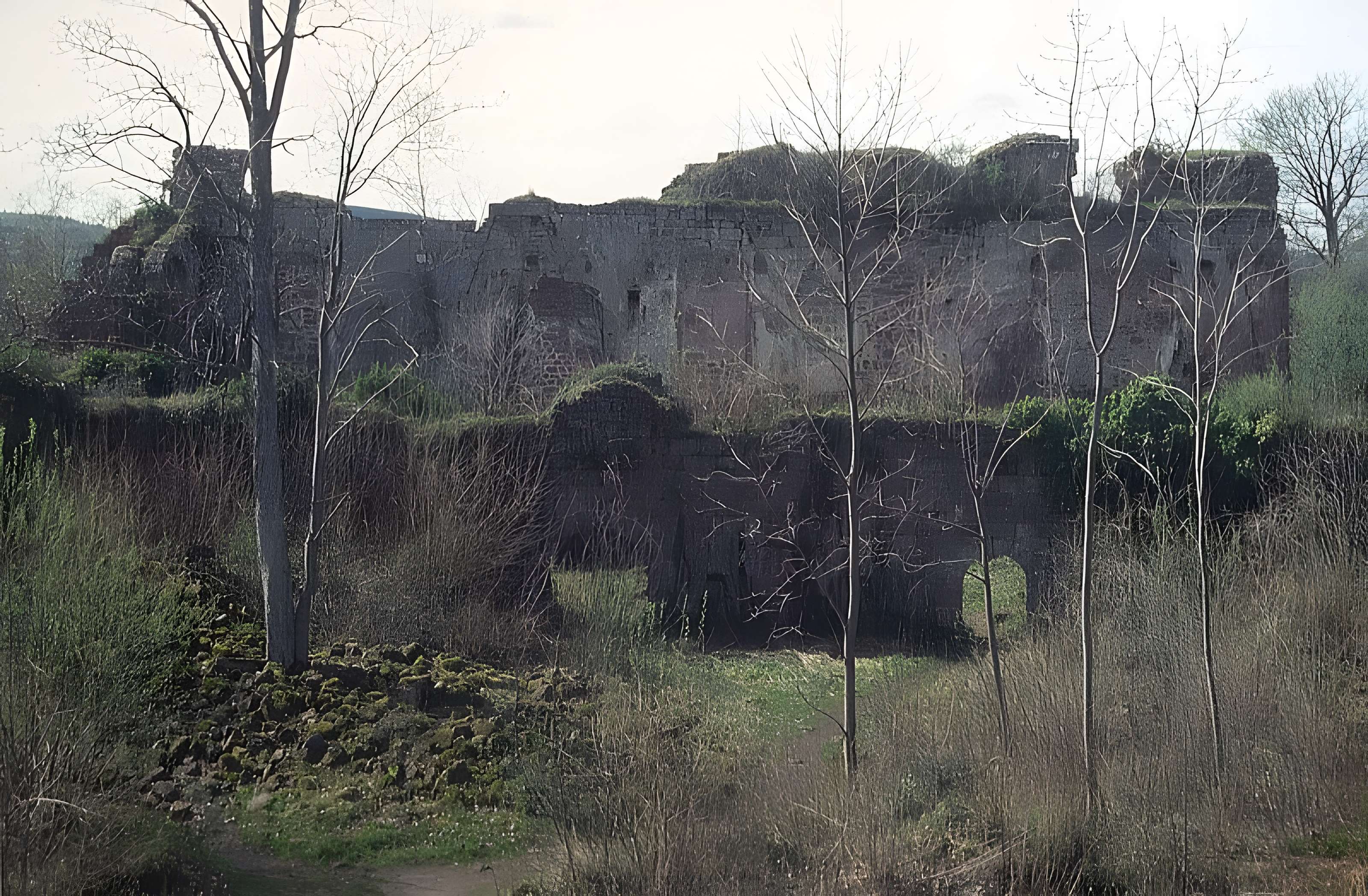 Ruines du château Guirbaden