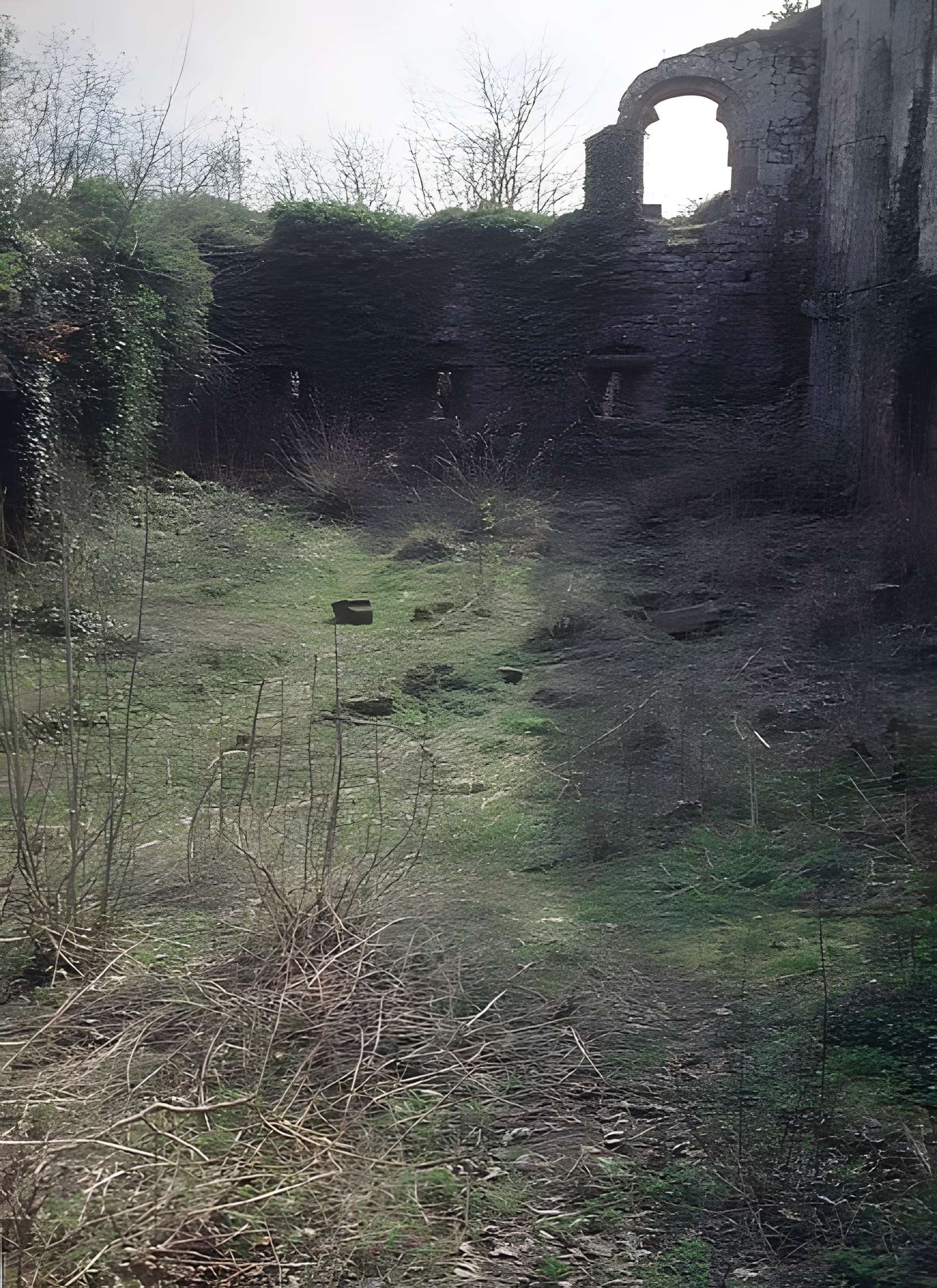 Ruines du château Guirbaden
