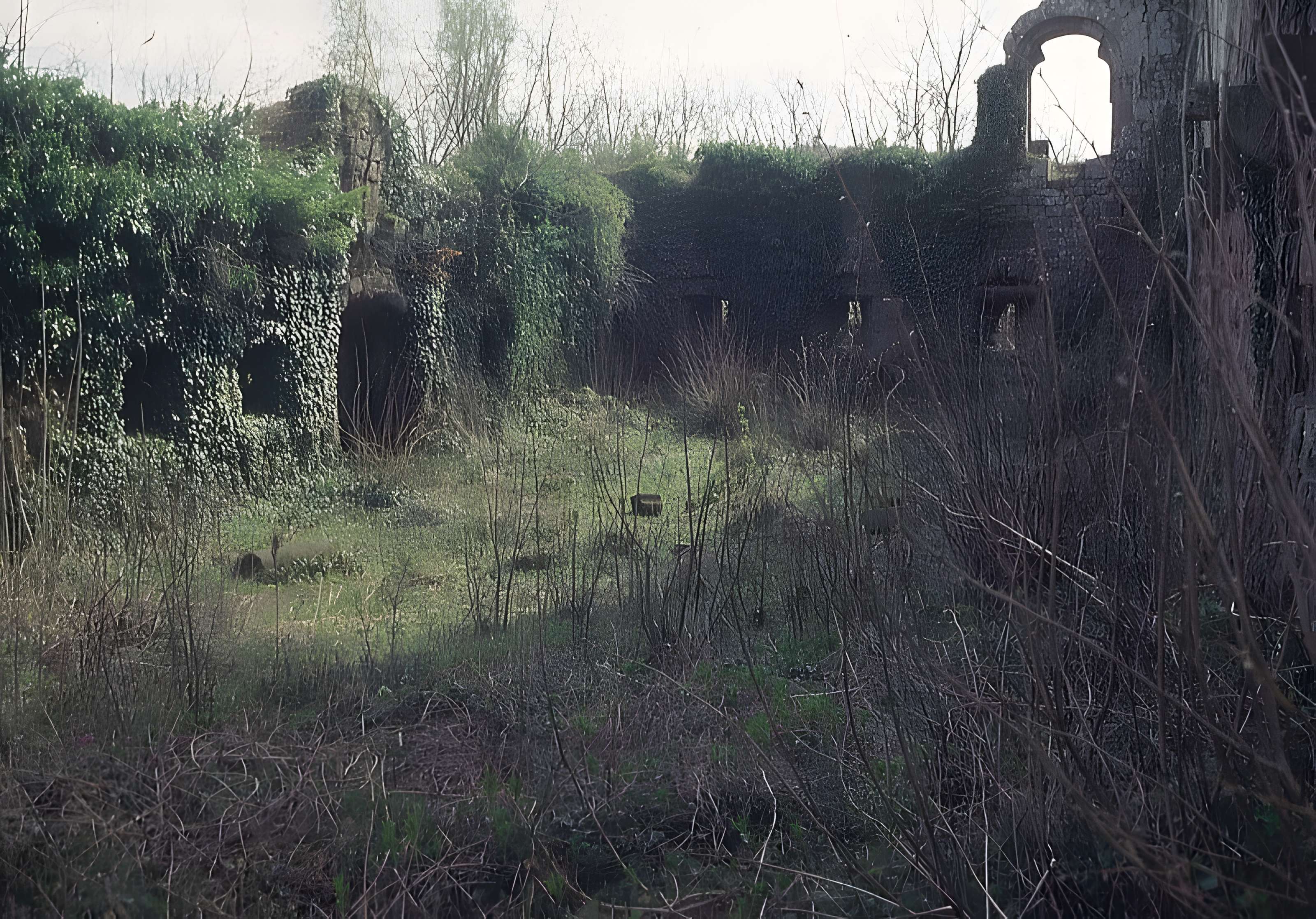 Ruines du château Guirbaden