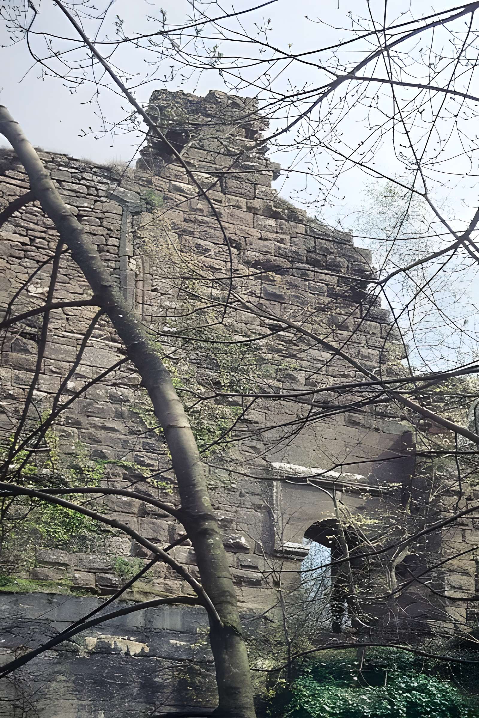 Ruines du château Guirbaden