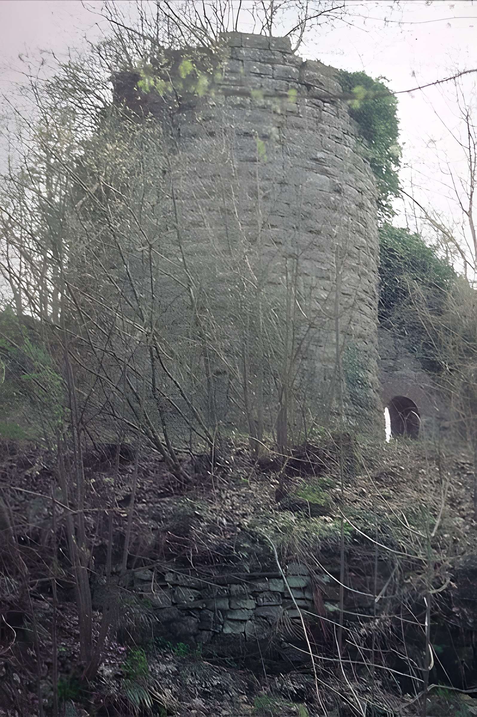 Ruines du château Guirbaden