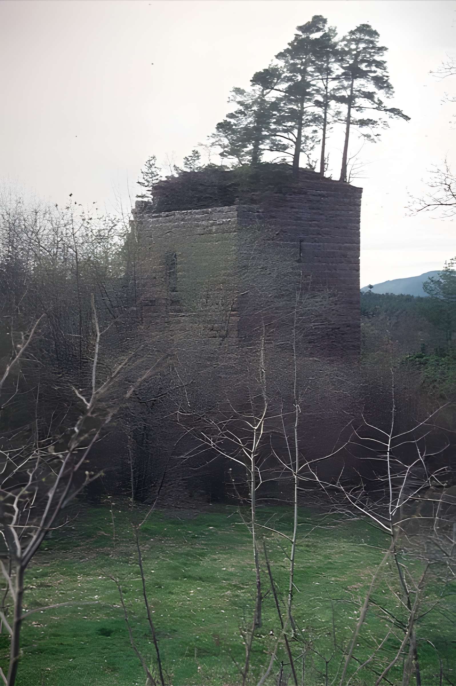 Ruines du château Guirbaden
