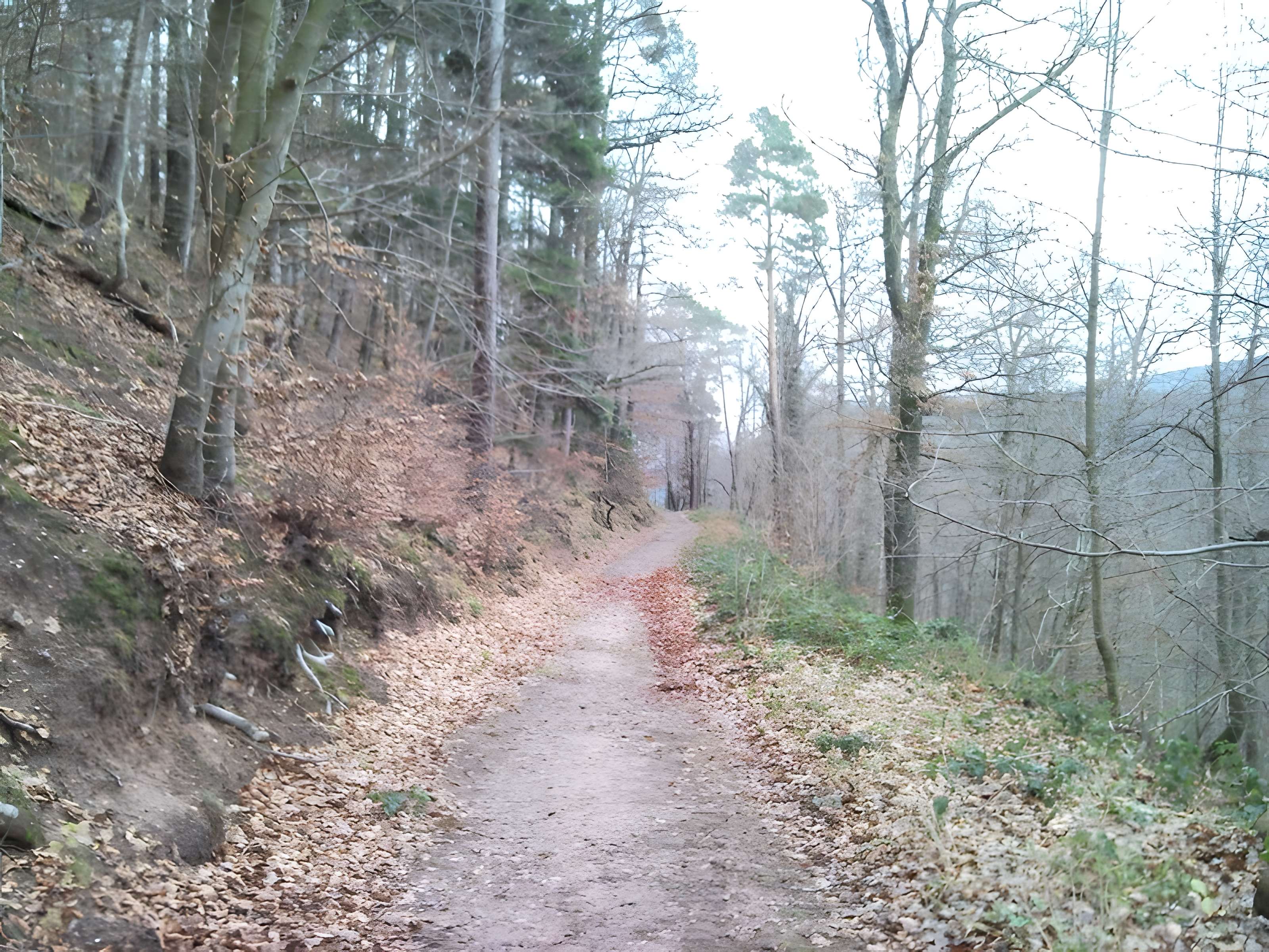 Ruines du château Guirbaden
