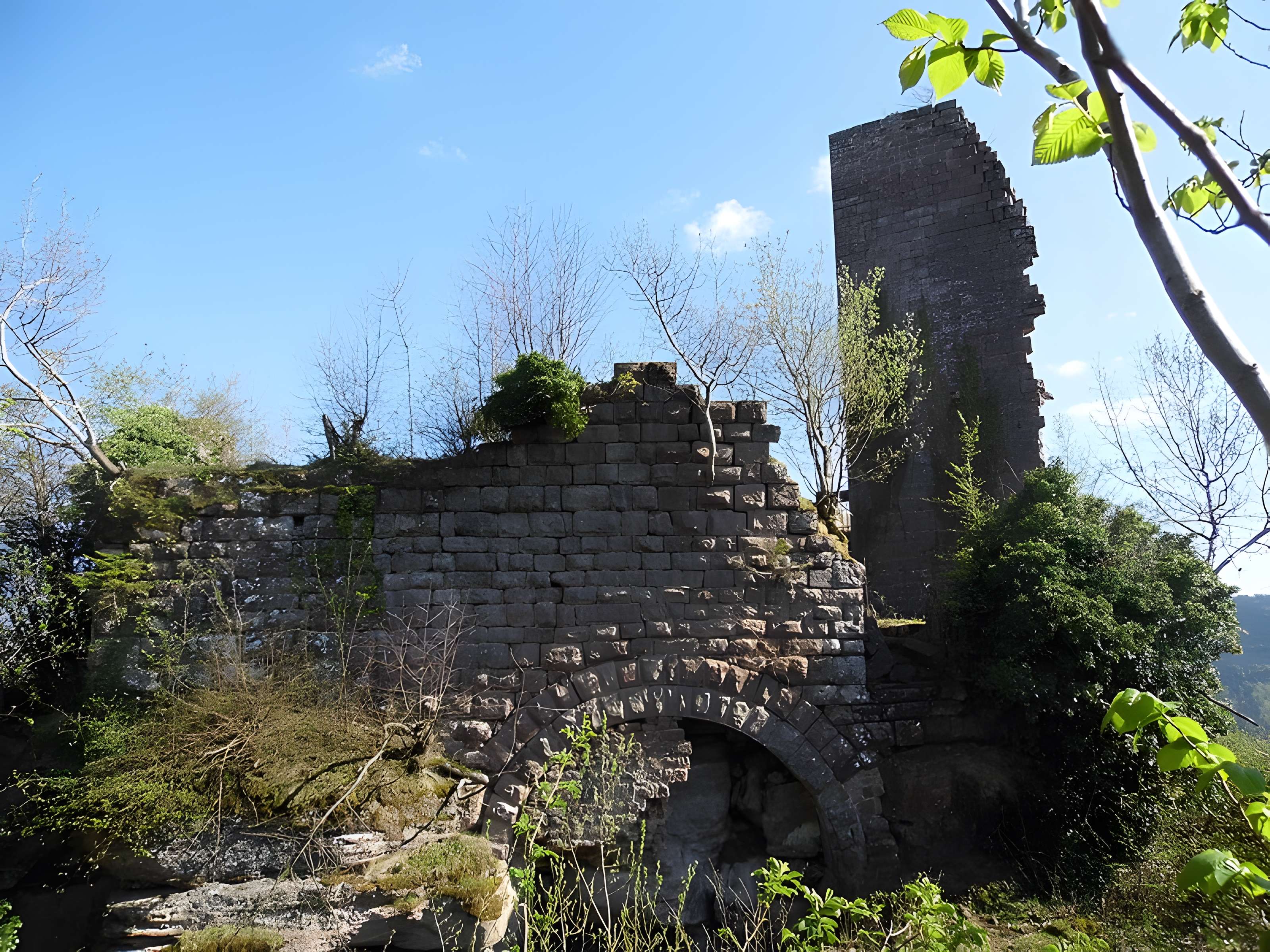 Ruines du château Guirbaden