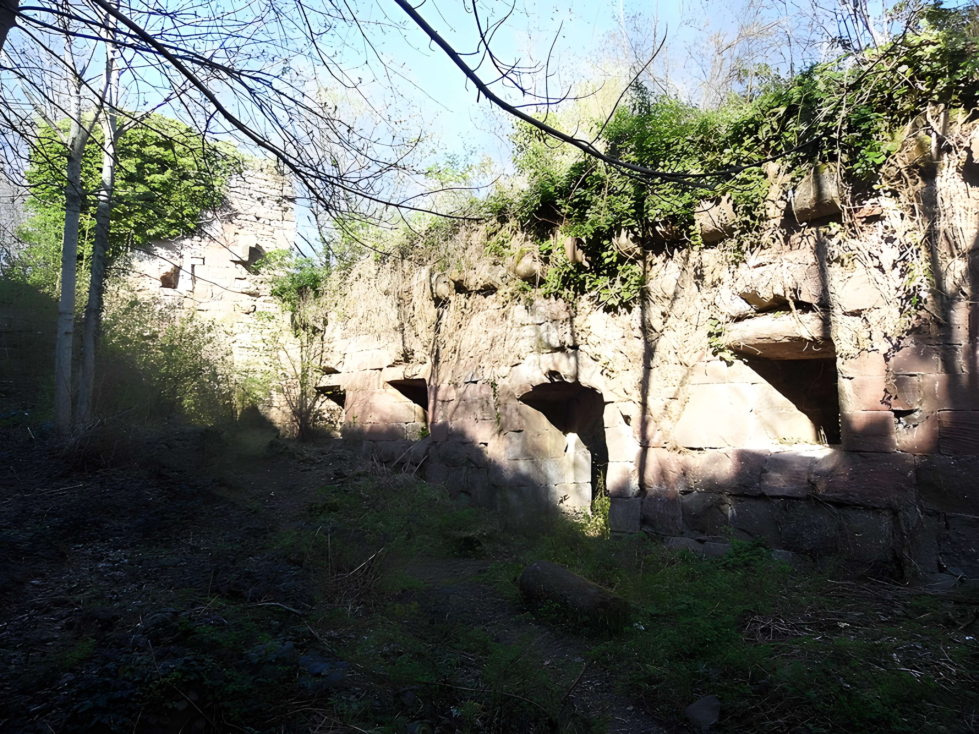 Ruines du château Guirbaden