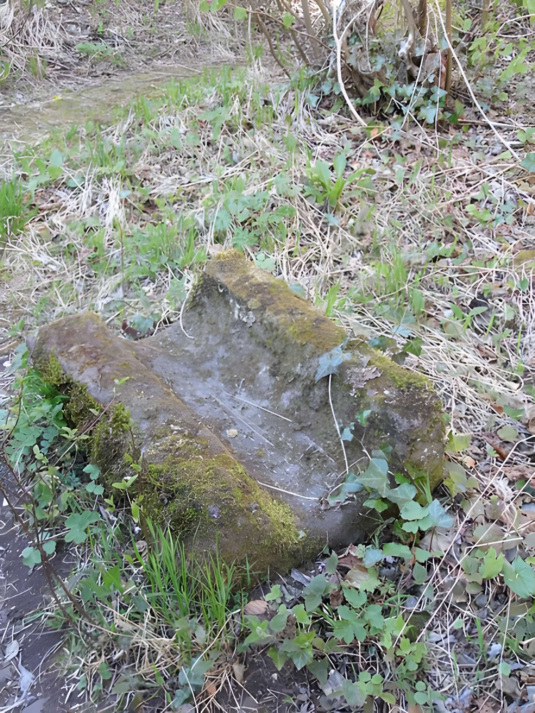 Ruines du château Guirbaden