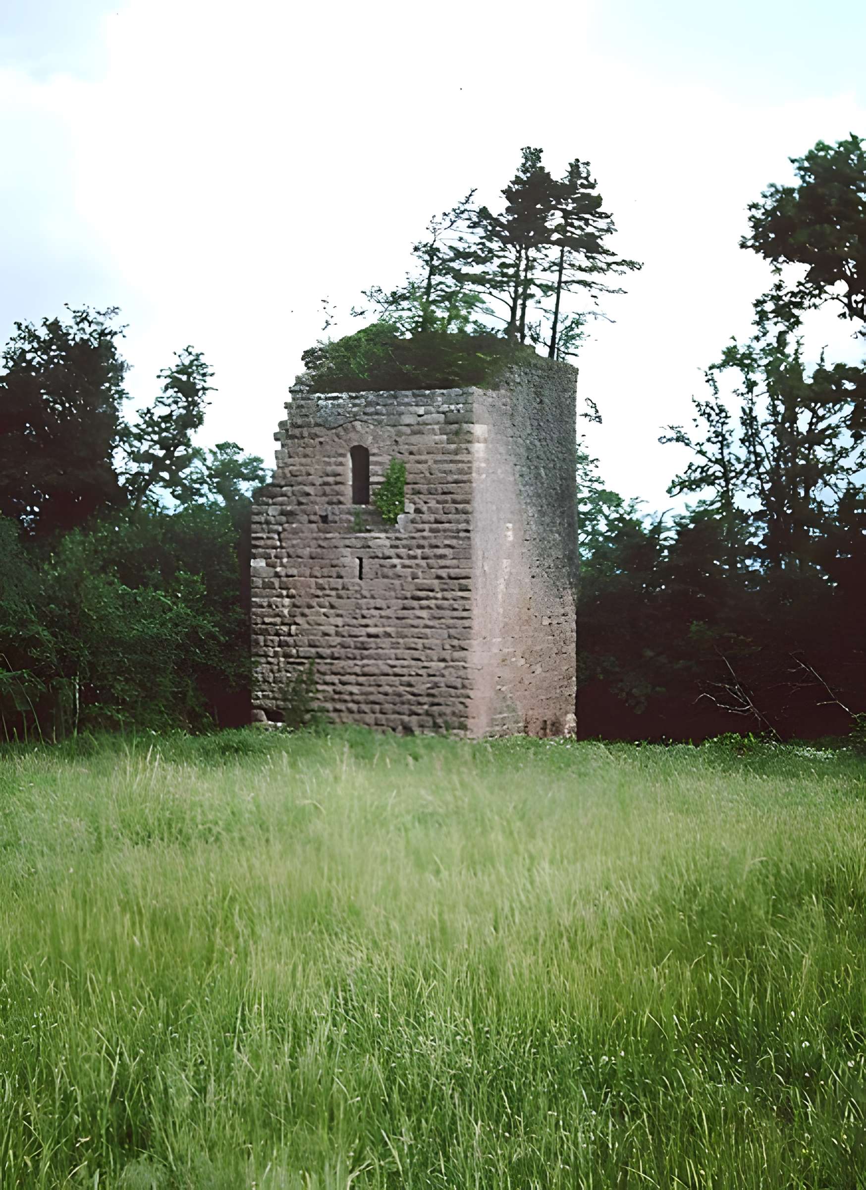 Ruines du château Guirbaden