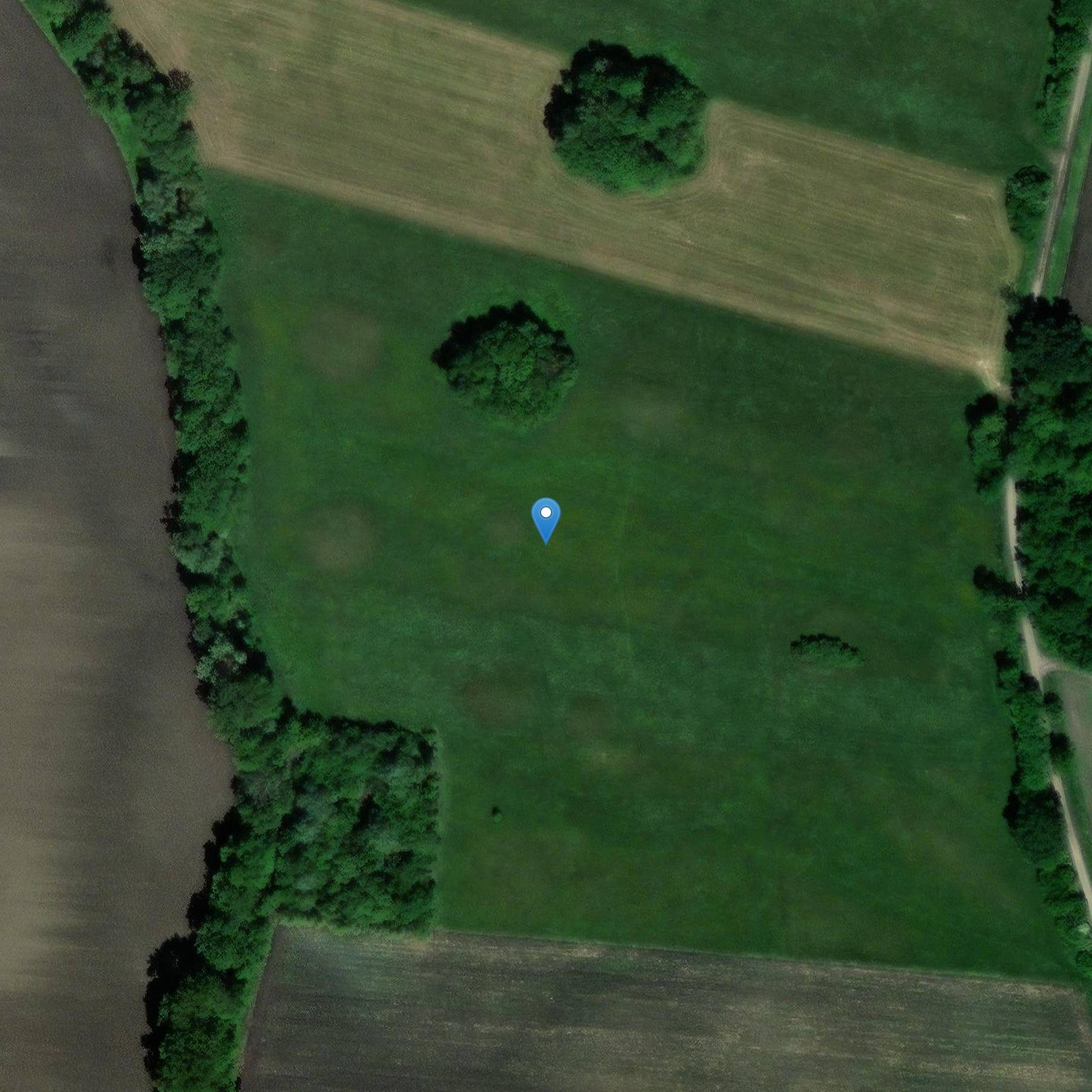 Photo de 原生史地图木斯