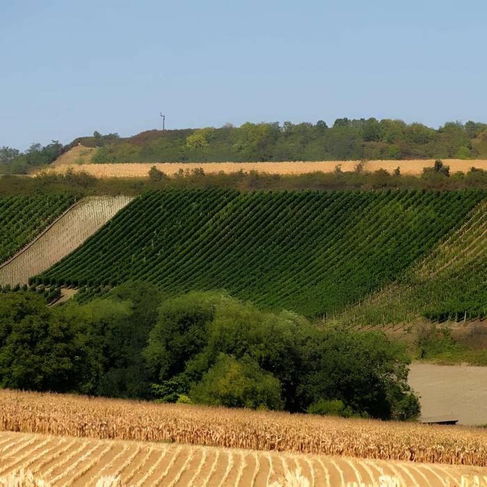 Photo de Kochersberg feudal motte