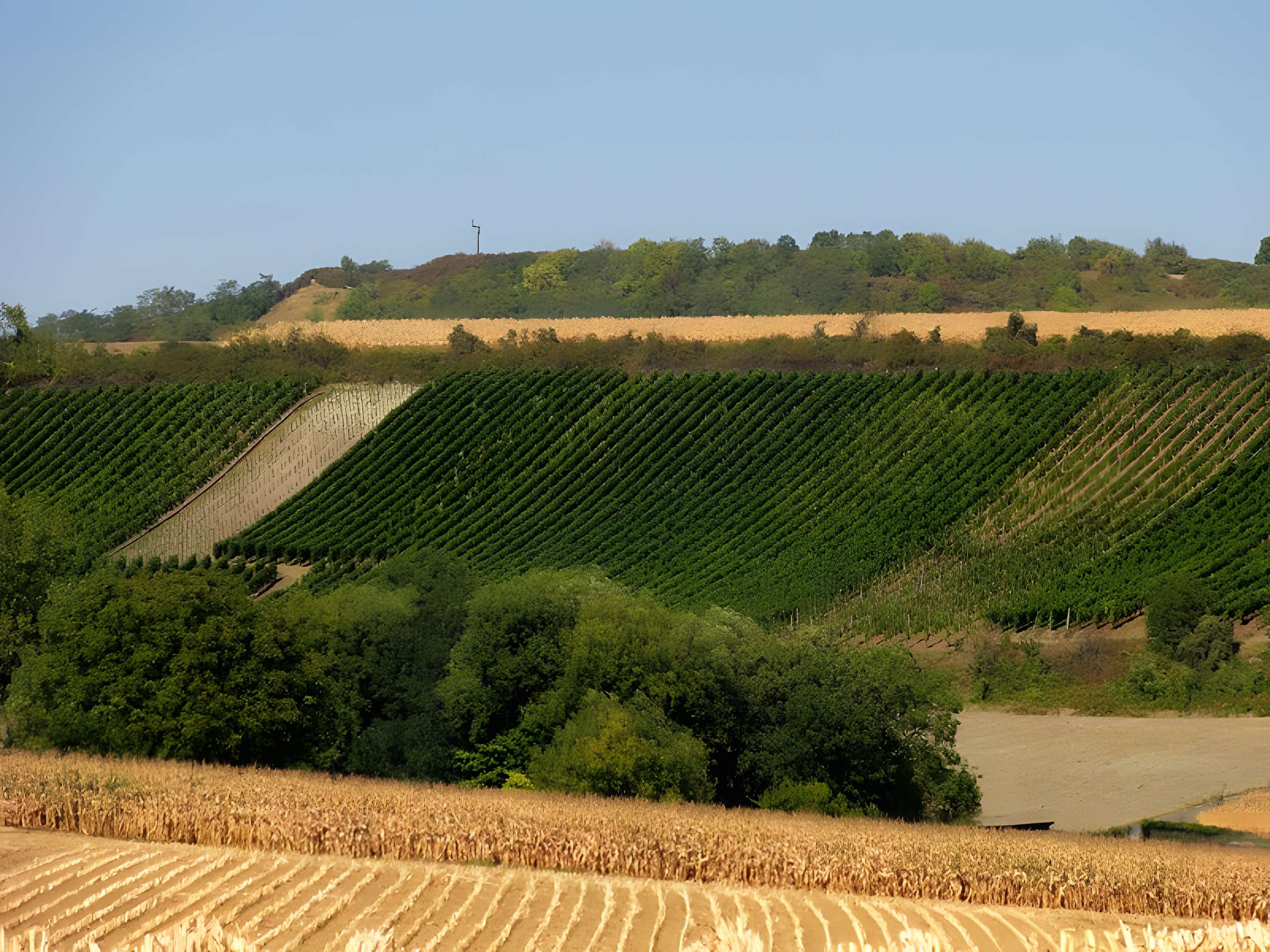 Motte féodale du Kochersberg