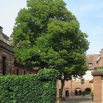 Ancienne abbaye bénédictine