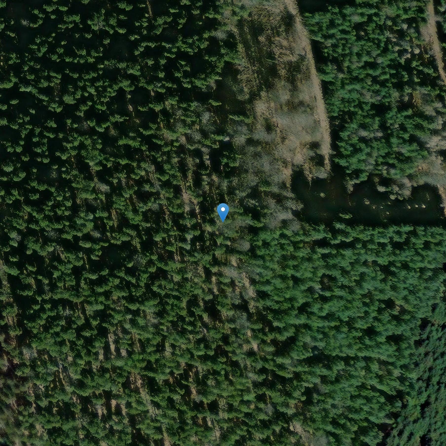 Photo de Remains von Gallo-Roman Festungen auf dem Ringelsberg