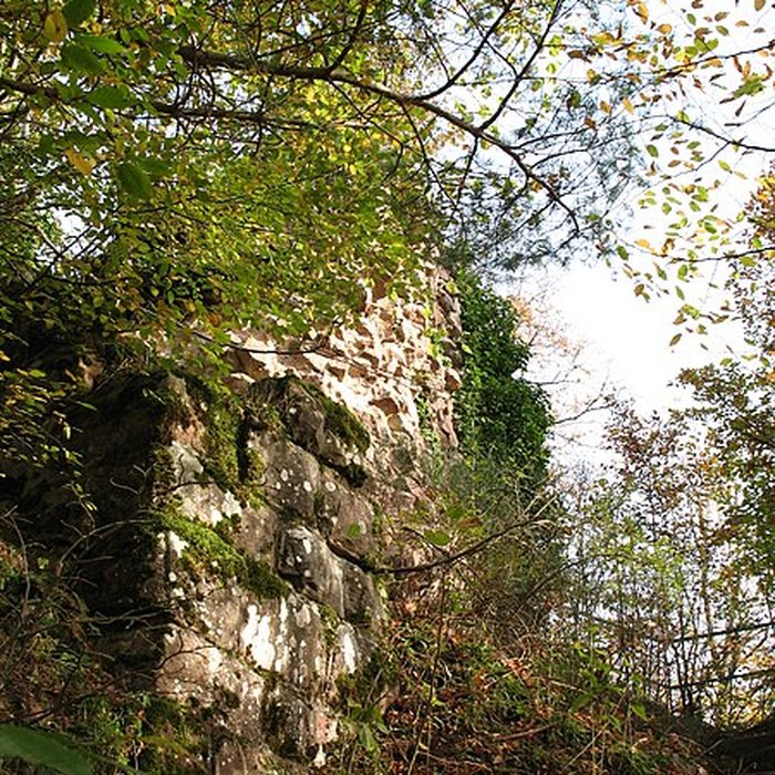 Photo de Ruines du château de Hohenstein