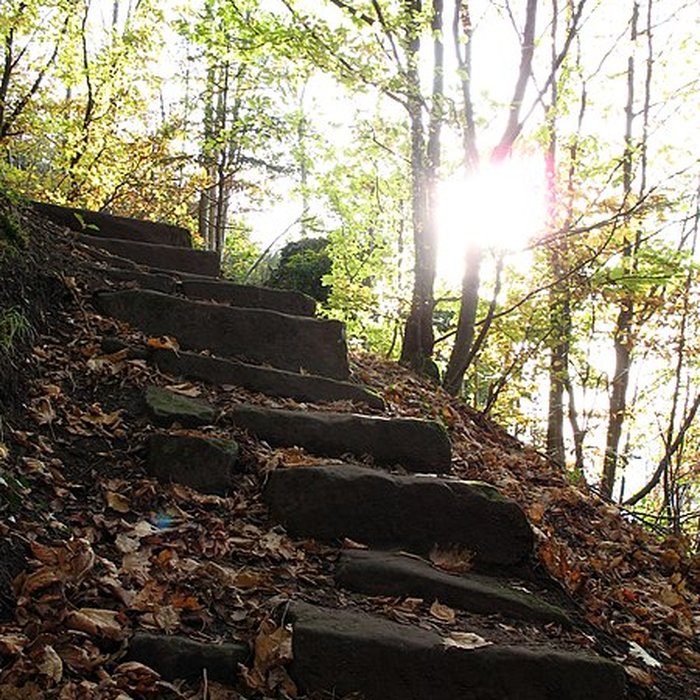 Photo de Ruines du château de Hohenstein