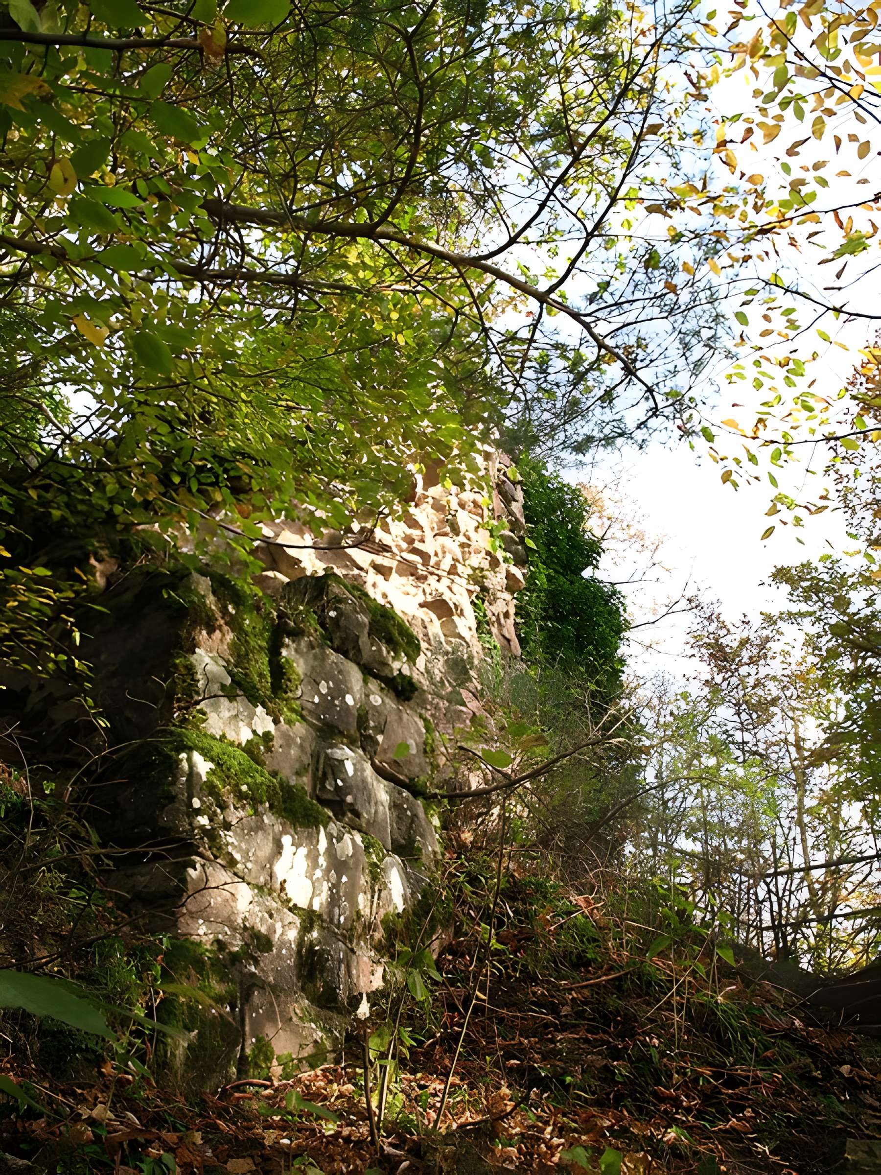 Ruines du château de Hohenstein