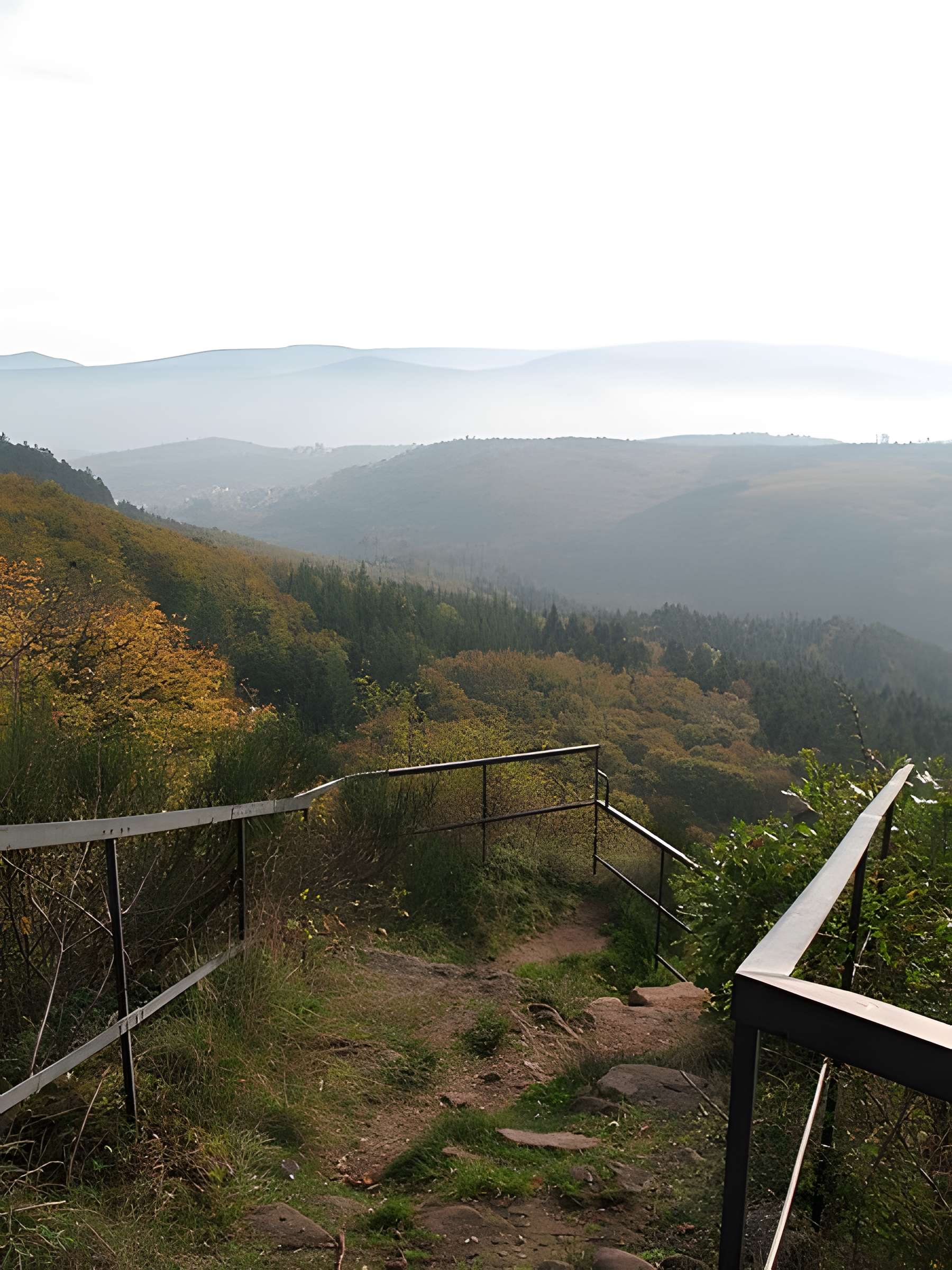 Ruines du château de Hohenstein