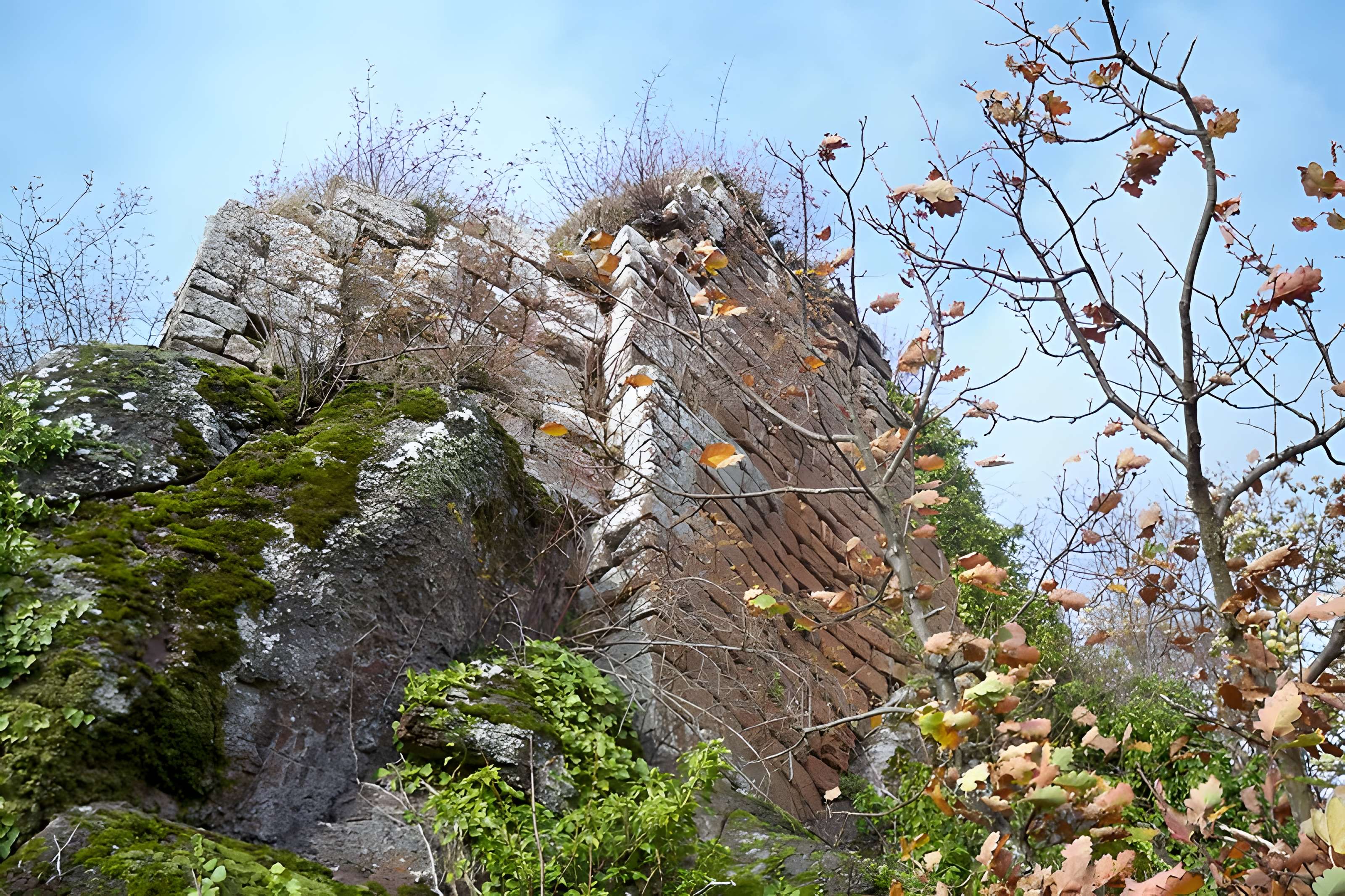 Ruines du château de Hohenstein