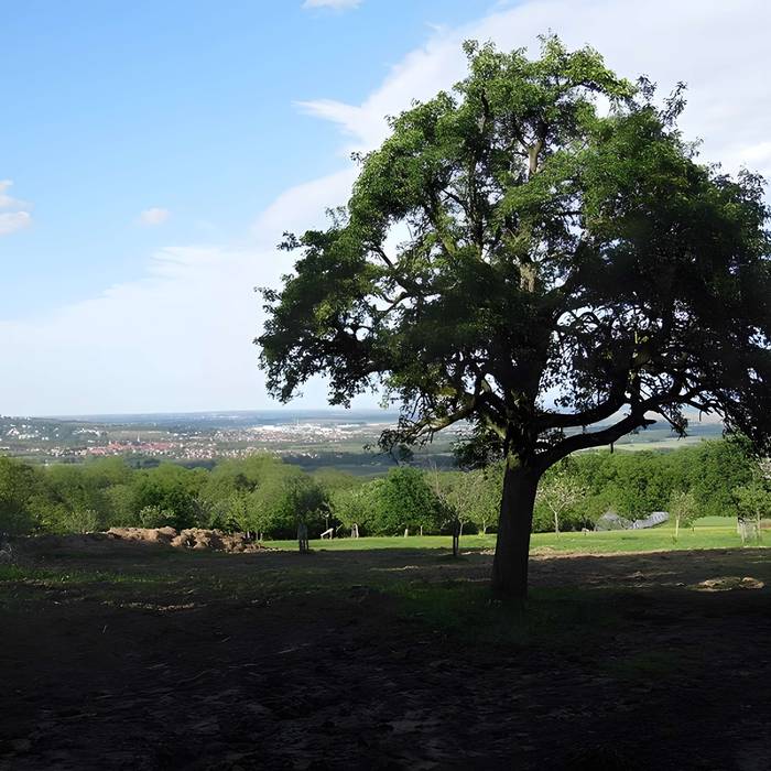 Photo de Ancien couvent des chanoines réguliers de saint Augustin