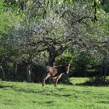 Ancien couvent des chanoines réguliers de saint Augustin
