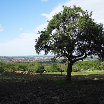 Ancien couvent des chanoines réguliers de saint Augustin