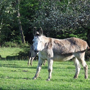 Ancien couvent des chanoines réguliers de saint Augustin