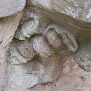 Ancien couvent des chanoines réguliers de saint Augustin