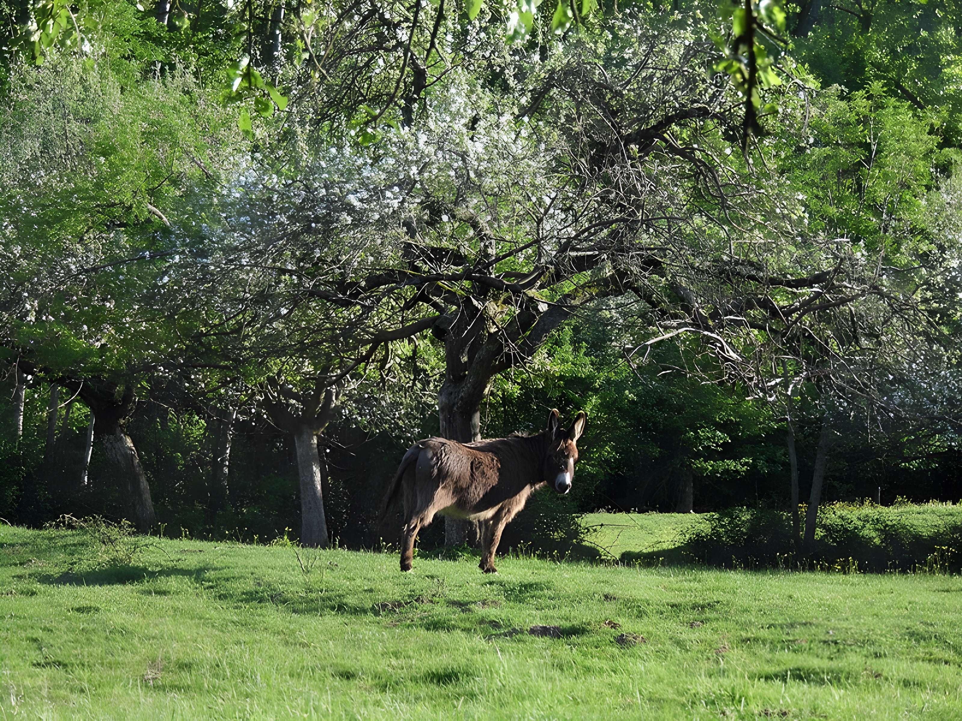 Ancien couvent des chanoines réguliers de saint Augustin