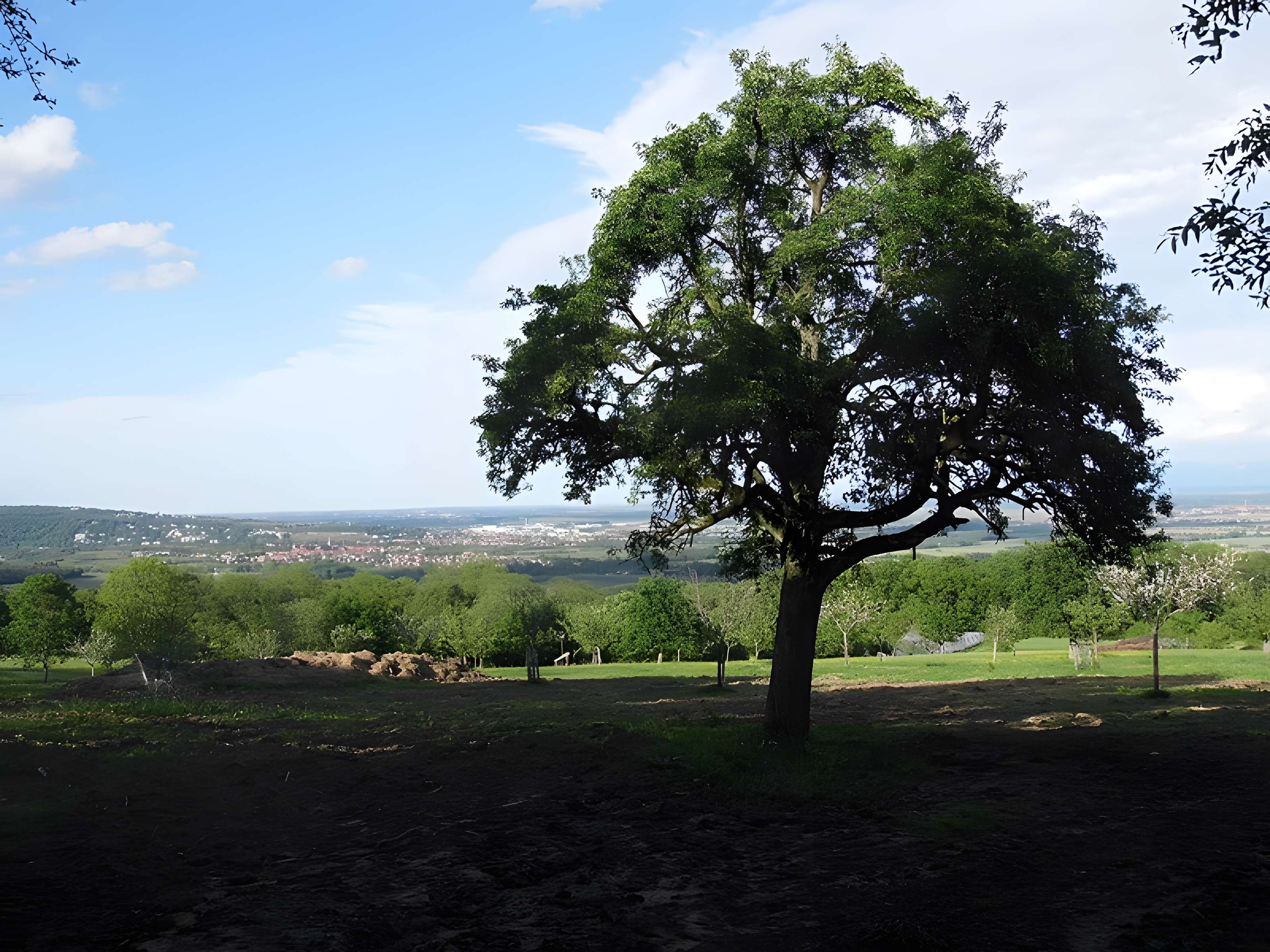 Ancien couvent des chanoines réguliers de saint Augustin