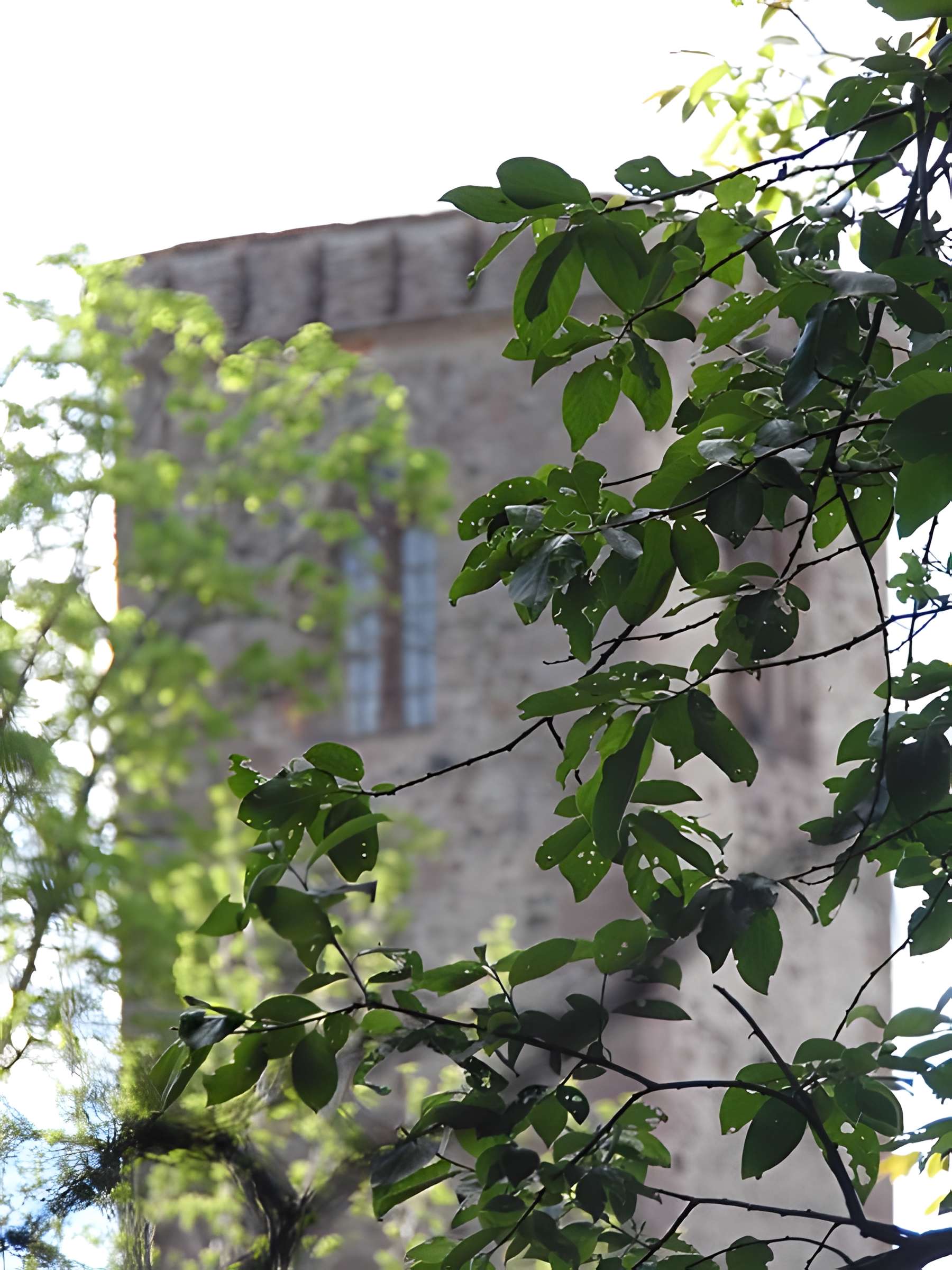 Ancien couvent des chanoines réguliers de saint Augustin