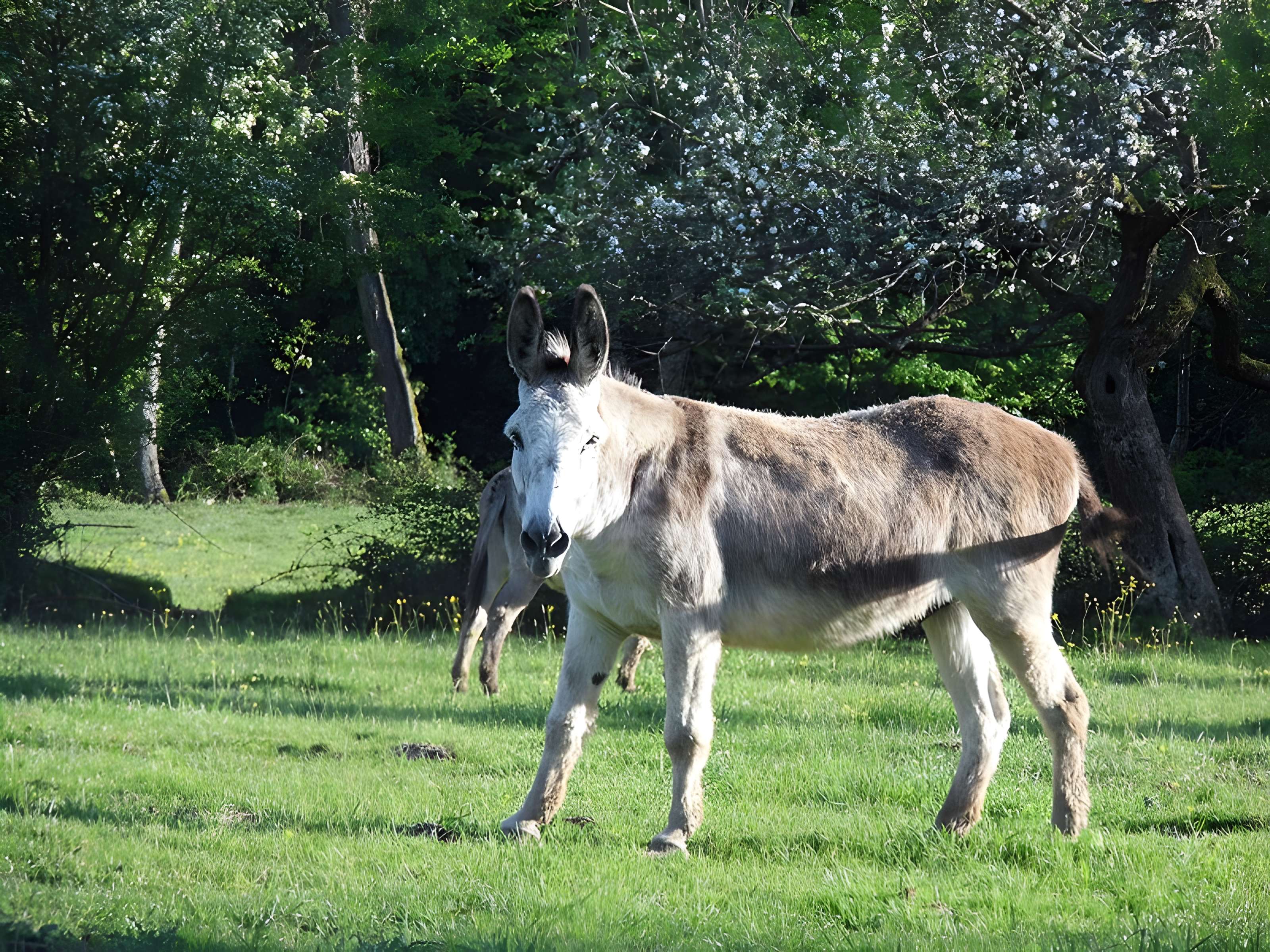 Ancien couvent des chanoines réguliers de saint Augustin