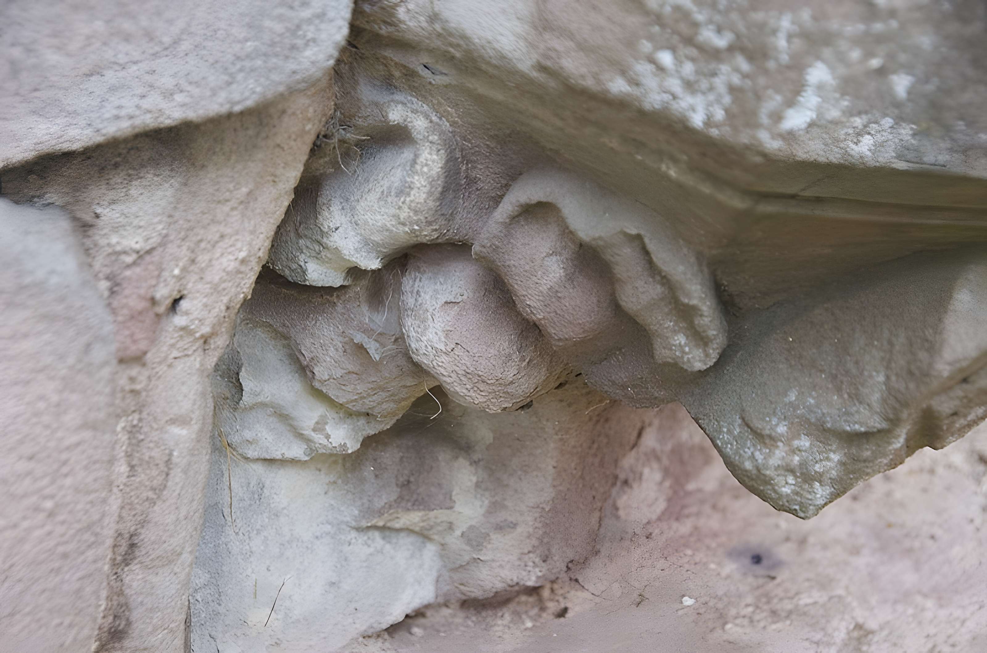 Ancien couvent des chanoines réguliers de saint Augustin
