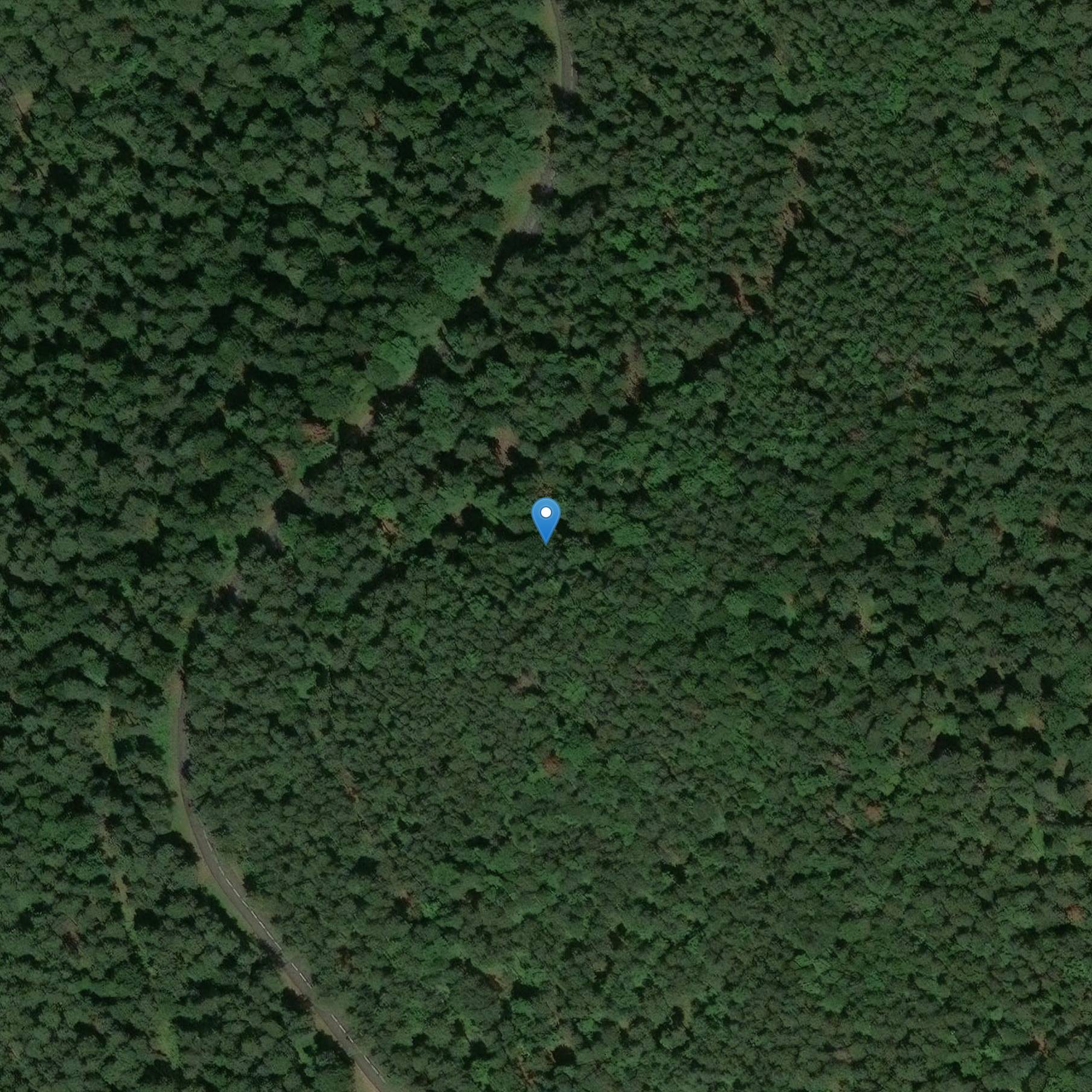 Photo de Megalith zegt Druidic Stone