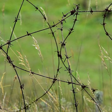 Fort de Vaux à Vaux-devant-Damloup