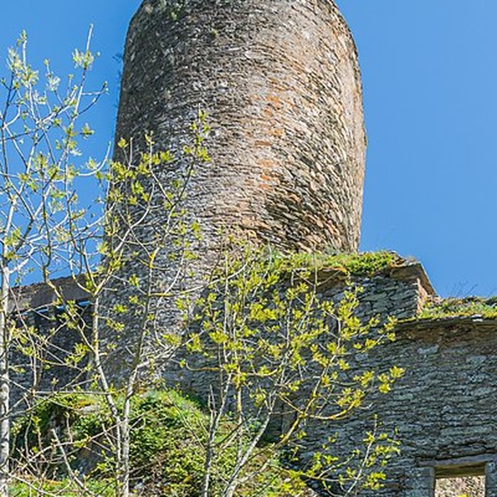 Photo de Château de Brousse