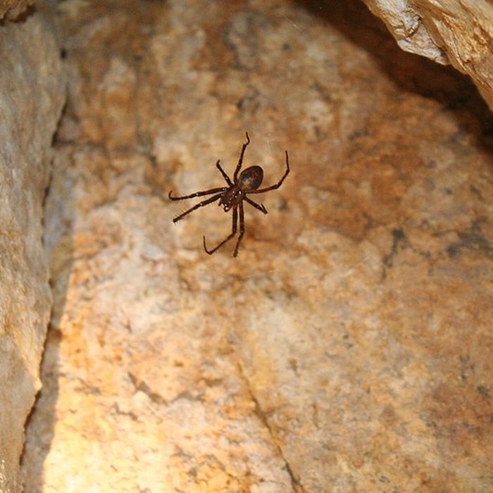 Photo de Fort du Larmont inférieur