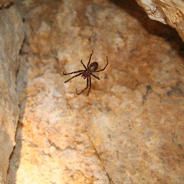 Fort du Larmont inférieur