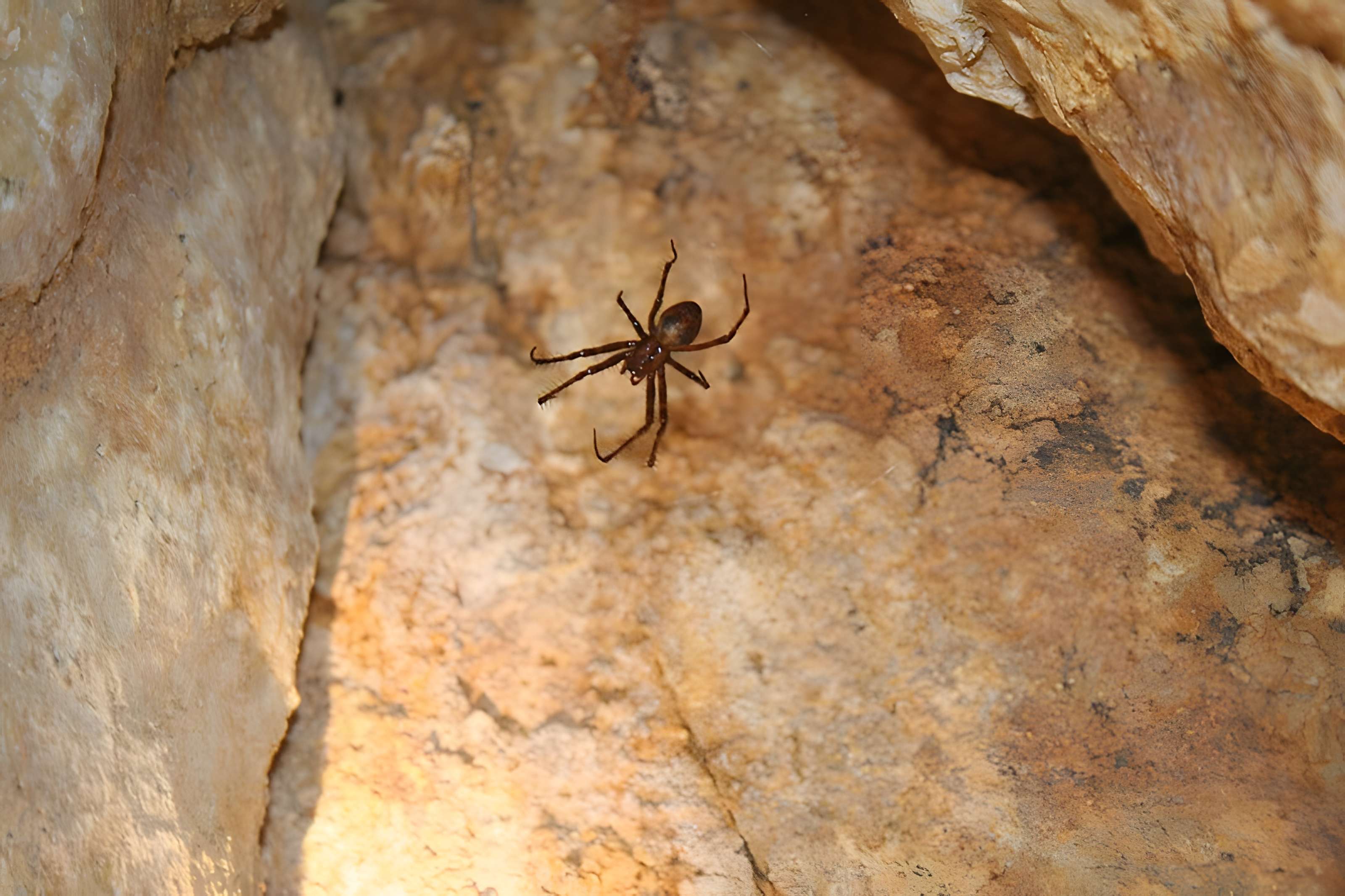 Fort du Larmont inférieur