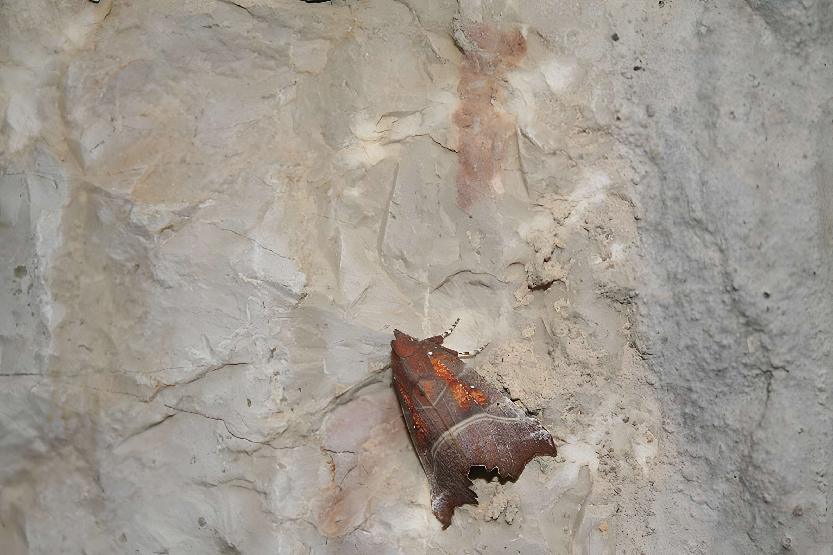 Fort du Larmont inférieur