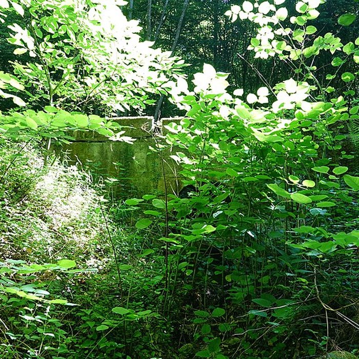 Photo de Pont numéro 1