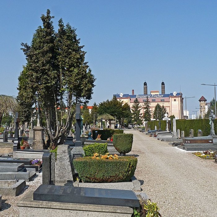 Photo de Brasserie Fischer