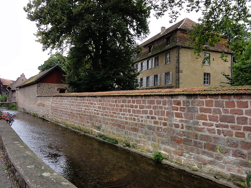 Photo de Château de Grünstein