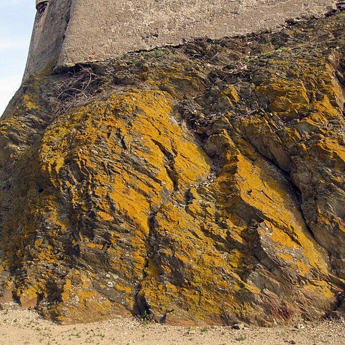 Photo de Fort Saint Elme