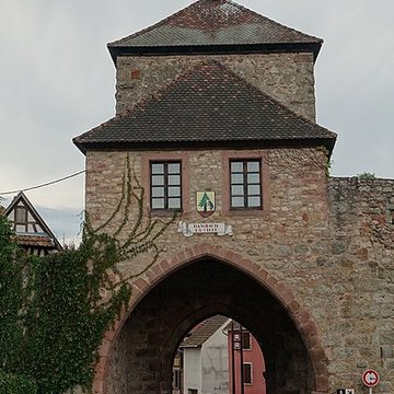 Fortifications de Dambach-la-Ville