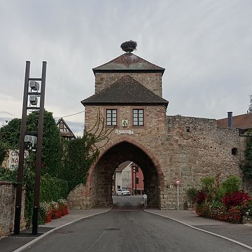 Fortifications de Dambach-la-Ville