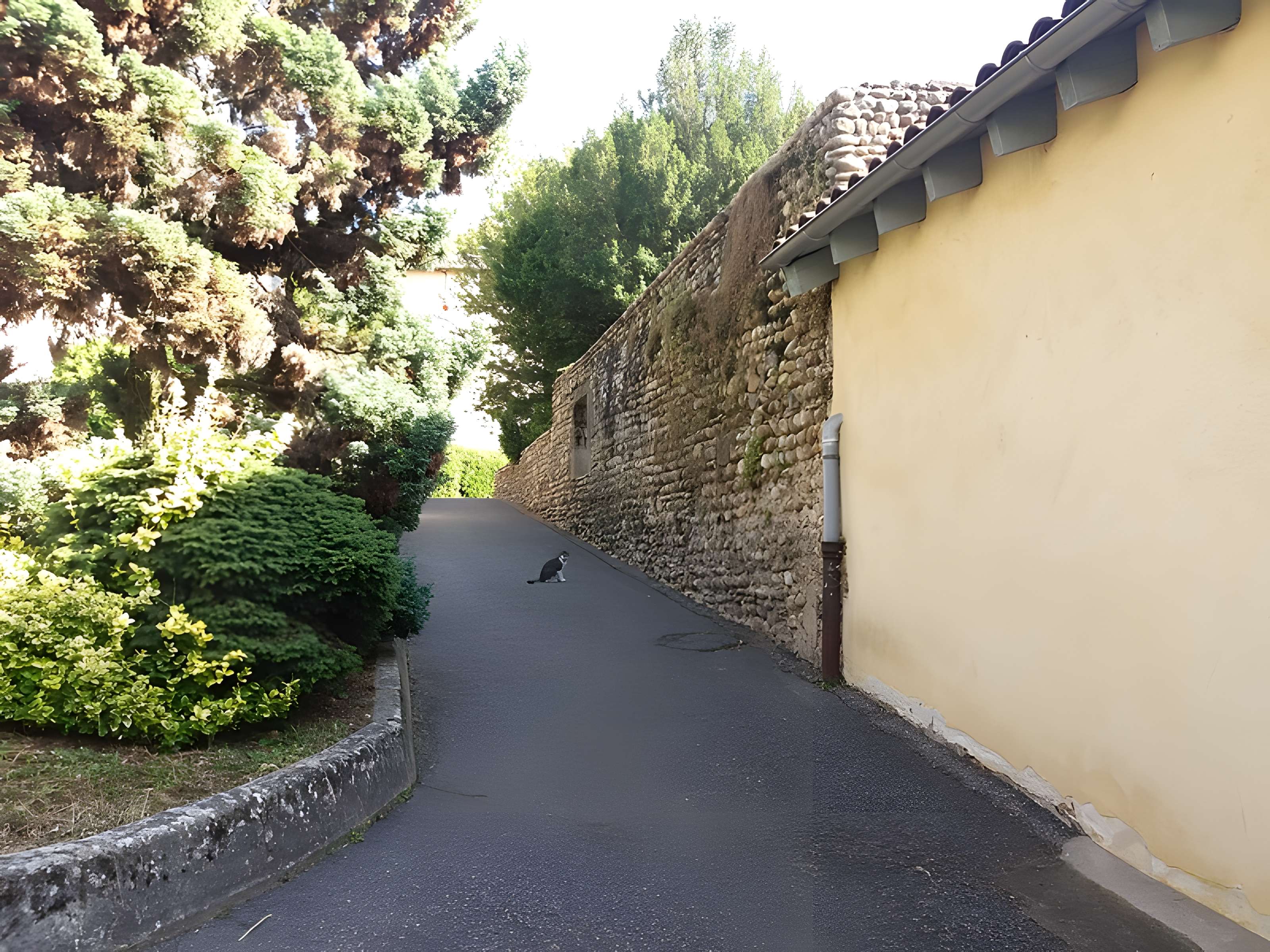 Fortin de Rancé de Genay