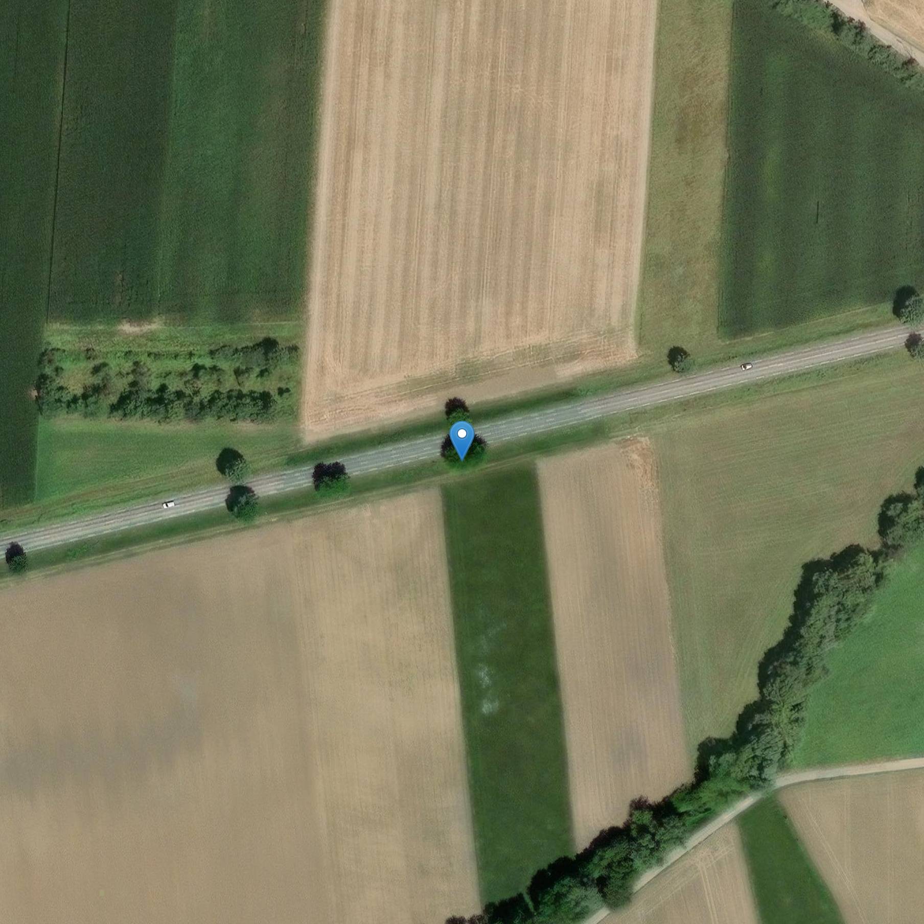 Photo de Banc-reposoir so-called bench of the King of Rome