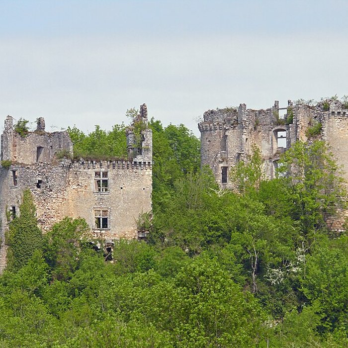 Photo de Château de Bruzac
