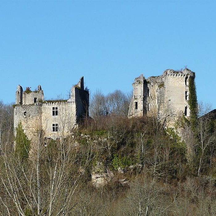 Photo de Château de Bruzac