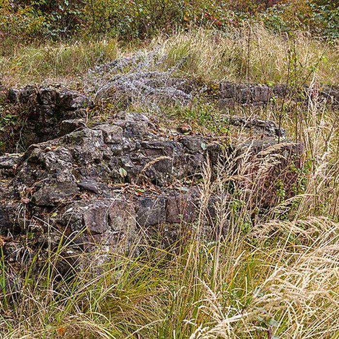 Photo de Château Saint-Rémy dAltenstadt